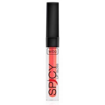 Brillant à Lèvres Spicy Lipgloss