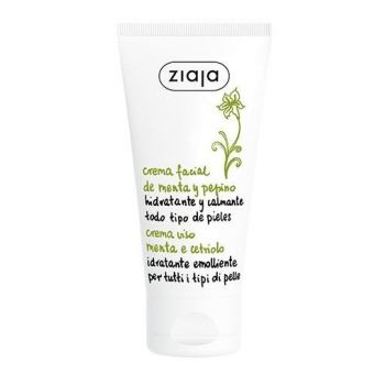 Crema viso idratante al cetriolo e mentos