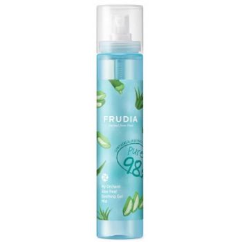 Gel al Bruma Calmante di Aloe Vera