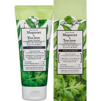 Schiuma detergente reale Fresh Mugwort & Tea tree Foam Cleanser