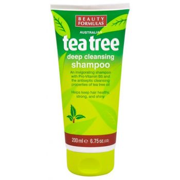 Tea tree Tea tree shampoo