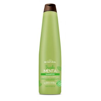Shampoo alla menta fresca
