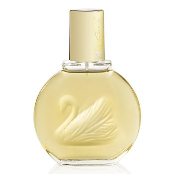 Vanderbilt EDT
