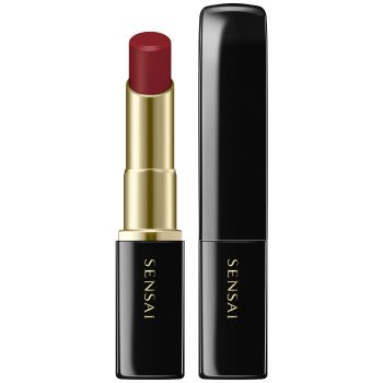 Lasting Plump Lipstick 