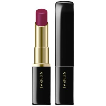 Lasting Plump Lipstick Rouge à Lèvres