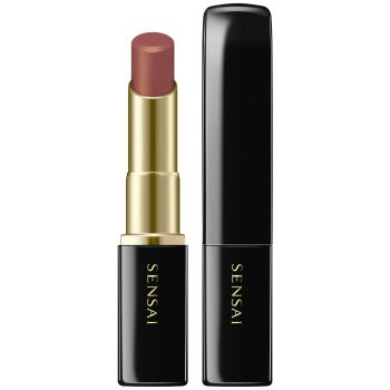 Lasting Plump Lipstick Rouge à Lèvres