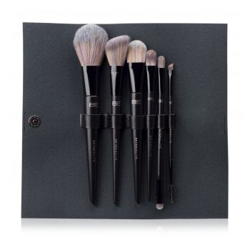 Set di pennelli elite