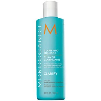 Shampoo Purificante
