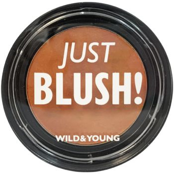 Blush in polvere