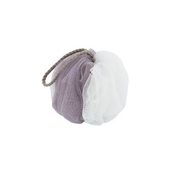 Sponge in mesh