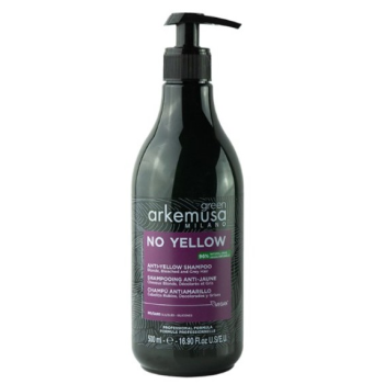 Shampoing Anti-Yellow No Yellow