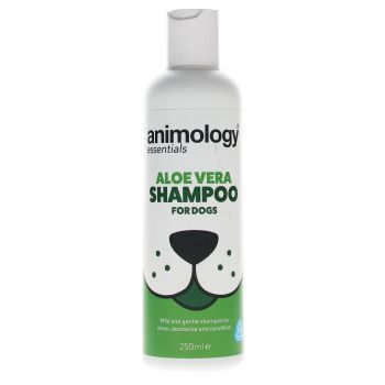 Shampoing Aloe Vera