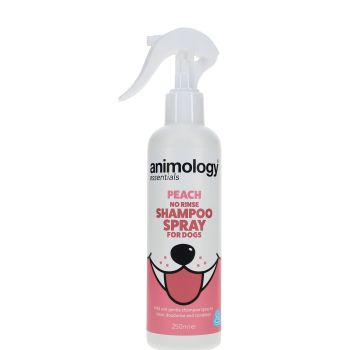 Shampoing Sans Rinçage