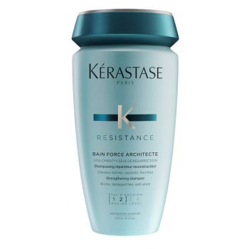 Shampoo resistance Bain Force Architecte