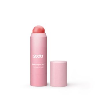 Lip & Cheek Stick Blush