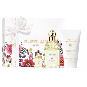 Aqua Allegoria Nerolia Vetiver Eau de Toilette Cofanetto