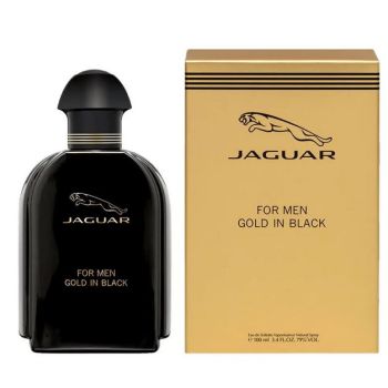 Gold in Black Eau de Toilette