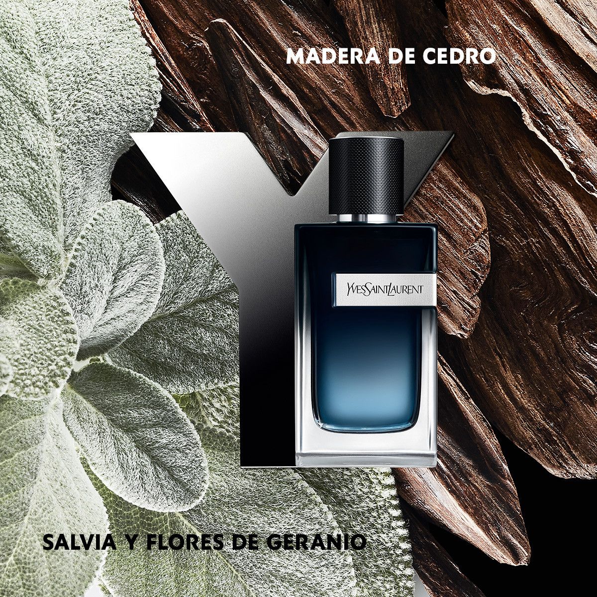 Parfum Ysl Y Yves Soloro Parfum Yves Saint Laurent Y Recharge De