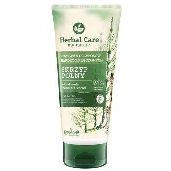 Après-Shampoing à la Prêle pour Cheveux Abîmés