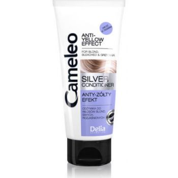 Après-Shampoing Reflets Argentés Après-Shampoing Reflets Argentés