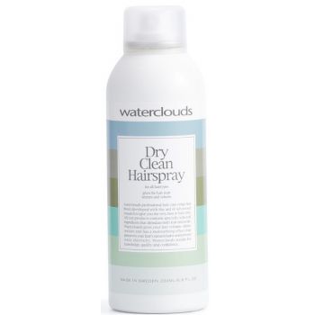 Spray nettoyant à sec Spray nettoyant à sec