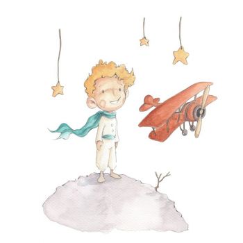 Vinyle Petit Prince