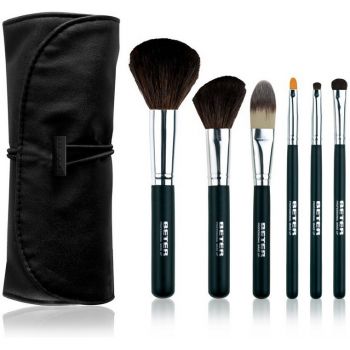 Kit professionnel de pinceaux