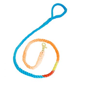 Cinghia Rainbow Cinghia Rainbow