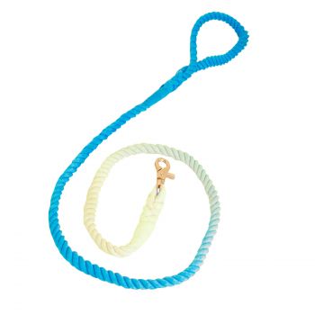 Cinghia Sunset Cinghia Sunset