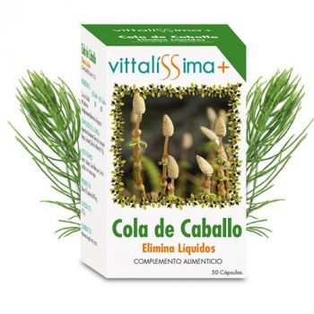 Gélules Prêle des Champs