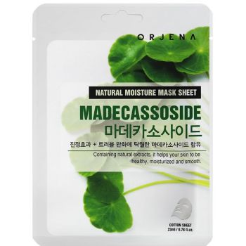 Masque Apaisant au Madécassoside Masque Apaisant au Madécassoside