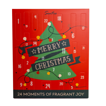 Calendario dell'Avvento di Buon Natale Calendario dell'Avvento di Buon Natale