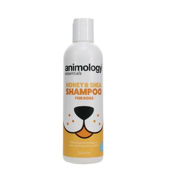 Shampoing Honey & Shea