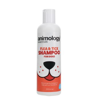 Shampoing Flea & Tick