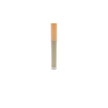 Brillant à Lèvres Pailleté