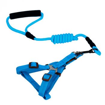 Cinghia con Imbracatura Basic Cinghia con Imbracatura Basic