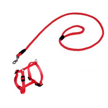 Pack Laisse et Harnais 