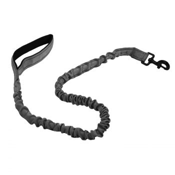 Laisse d’Entraînement Élastique