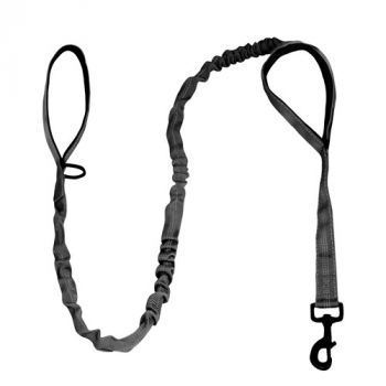 Laisse d’entraînement élastique double