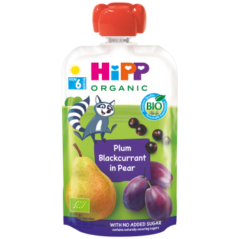 Busta di prugna e ribes nero bio