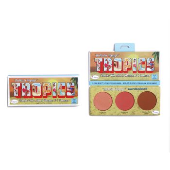 Tropics Palette Blush et Bronzant