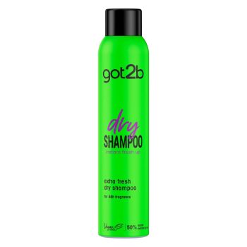 Dry Shampoo Fresh It Up Shampoo a secco