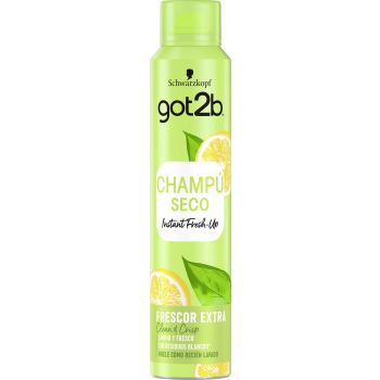 Shampoing Sec Instant Fresh-Up