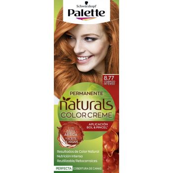 Palette Naturals Coloration Permanente Sans Ammoniaque