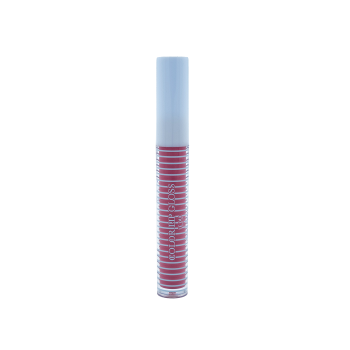 Le Due Make Up Brillant à Lèvres Coloré Le Due Make Up