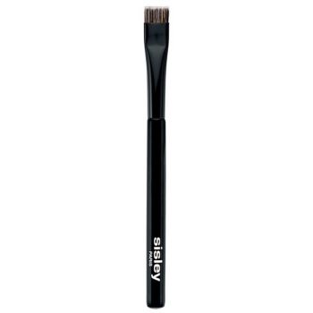 Pinceau Eyeliner
