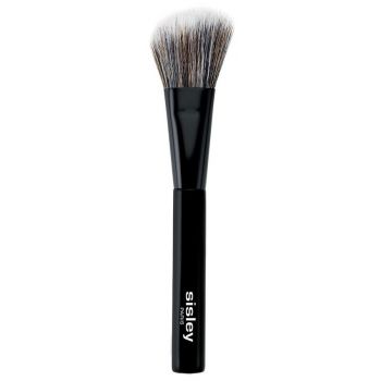 Pinceau pour Blush