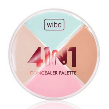 Palette de Correcteurs 4-en-1