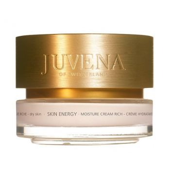 Crème Skin Energy Moisture Cream Rich