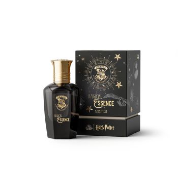 Magical Essence Man Ambition